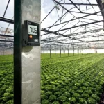 testo 174 H Temperature and humidity mini data logger