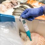 buy Testo 206 pH2 pH meter
