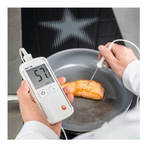 Testo 108 2 Temperature Measuring Instrument
